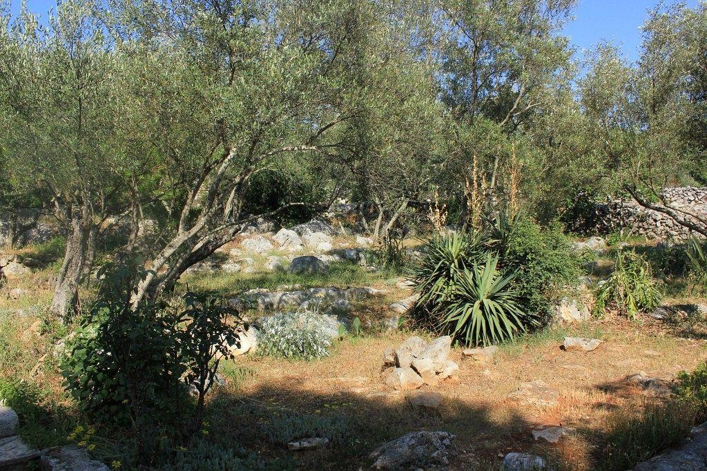 Secluded Fisherman'S Cottage Cove Magrovica - Telascica, Dugi Otok - 8142 Sali Exterior foto